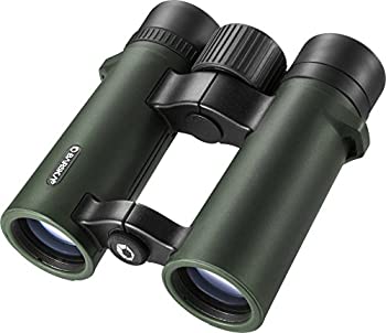 今季注目 【即日発送】  【MD2P21OPXXM】 限定デザイン