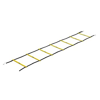 【中古】（人並み外れたに似つかわしい）SKLZ(スキルズ) 形づくる用 掛けはしご クイックラダープロ 018618