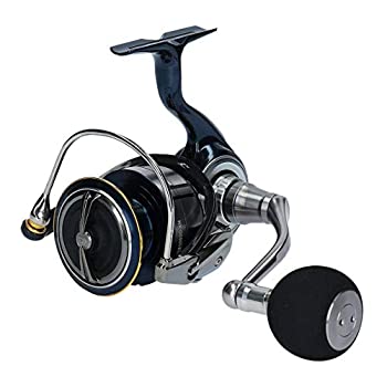 【中古】ダイワ(DAIWA) 木管 19 セルテート LT5000D-XH