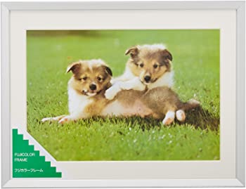 【中古】（非常に良い）FUJICOLOR 額縁 A10N ワイド4切 アルミ シルバー 300462