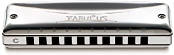 【中古】（非常に良い）SUZUKI スズキ 10穴ハーモニカ ファビュラスシリーズ F-20J G