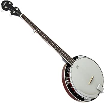 【中古】(未使用品)ARIA アリア ５弦バンジョー REMO Banjo Head　SB-10