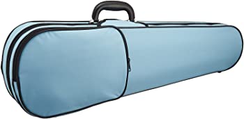 かわいい！【中古】Carlo Giordano カルロジョルダーノ バイオリン