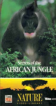 【中古】（非常に良い）Secrets of the African Jungle [VHS]
