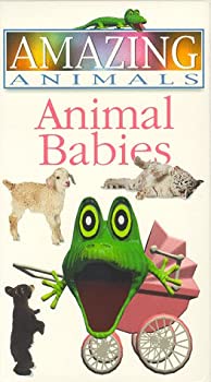 【中古】（非常に良い）Amazing Animals - Animal Babies [VHS] [Import]
