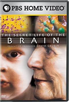 【中古】（非常に良い）Secret Life of the Brain [DVD] [Import]｜GoodLifeStore