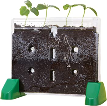 【中古】[エデュケーショナルインサイト]Educational Insights Sprout \u0026 Grow Window 5101 [並行輸入品]