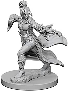 【中古】Pathfinder: Deep Cuts Unpainted Miniatures: Elf Female Sorcerer