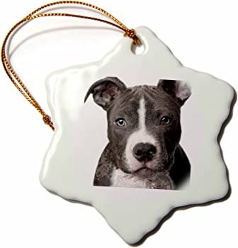【中古】（非常に良い）3drose American Pit Bull Terrier 子犬 雪の結晶 磁器オーナメント 3インチ