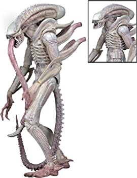 【中古】（非常に良い）ネカ エイリアン 7インチ アクションフィギュア シリーズ9 アルビノ・エイリアン / NECA ALIEN XENOMORPH (ALBINO DRONE) 【並行輸入版】