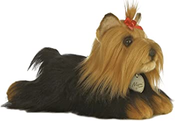 【中古】YORKSHIRE TERRIER - MEDIUM