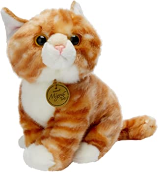 【中古】ORANGE TABBY KITTEN