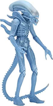 【中古】（非常に良い）NECA Aliens 7\