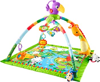【中古】（人並み外れたに似つかわしい）フィッシャー必要経費(fisher price) レインフォレスト・デラックスジムII 【0カ月~】【知育手あそび】【布手あそび】DFP08