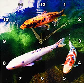 【中古】3Dローズ 釣り - 中国の鯉 魚 - 壁時計 - 約25 x 25cm (10 x 10インチ) 壁時計 - dpp_2879_1 (並行輸入)