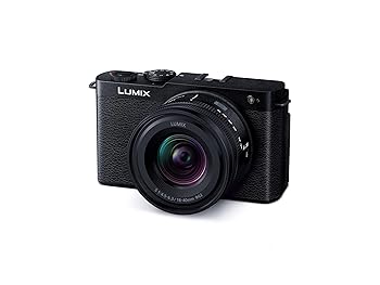 【中古】（人並み外れたに好いたらしい）パナソニック(Panasonic) フルサイズ 鏡鑑受け答え一眼写真機 ルミックス DC-S9N-K 広角望遠レンズ一揃いの道具 ジェット機黒いこと