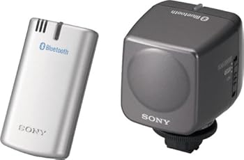 【中古】(非常に良い)SONY(ソニー) ワイヤレスマイクロホン DCR-HC96用 ECM-HW1|GoodLifeStore
