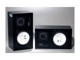 【中古】(人並み外れたに好いたらしい)NS10M STUDIO(2本SET)