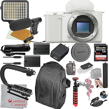【中古】ソニー ミラーレスカメラ ZV-E10 (ホワイト) ビデオバンドル - 本体のみ ILCZV-E10/W + LEDビデオライト + マイク + 超高速 64GB メモリ (21個セ｜GoodLifeStore