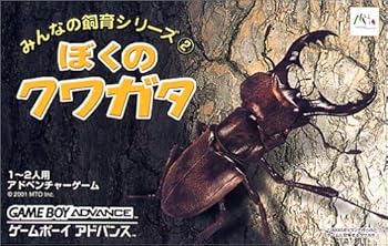 【中古】みんなの繁殖続きもの ぼくのクワガタ