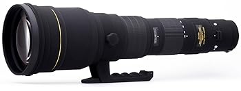 【中古】(非常に良い)SIGMA 望遠ズームレンズ APO 300-800mm F5.6 EX DG HSM ニコン用 フルサイズ対応