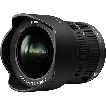 【中古】パナソニック LUMIX G VARIO 水晶体 7-14粍 F4.0 ASPH 銀鏡受け答え マイクロ フォーサーズ H-F007014 (亜米利加黒いこと)