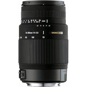 【中古】シグマ 70-300mm F4-5.6 DG OS ニコン用 70-300mm F4-5.6 DG OS NA｜GoodLifeStore
