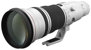【中古】(非常に良い)Canon 単焦点超望遠レンズ EF600mm F4L IS II USM フルサイズ対応