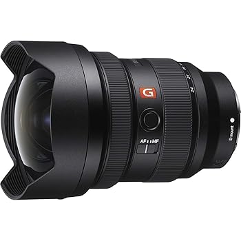 【中古】(非常に良い)SONY(ソニー) 広角ズームレンズ フルサイズ FE 12-24mm F2.8 GM G Master デジタル一眼カメラα[Eマウント]用 純正レンズ SEL1224GM
