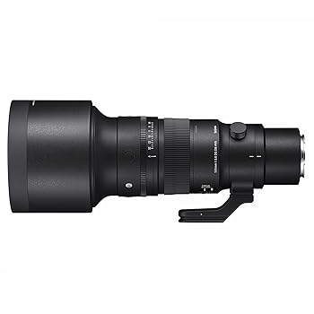 【中古】(人並み外れたに好いたらしい)500粍 F5.6 DG DN os ソニーEマウント用 Sports伝達ルート 取り替えっこ水晶体