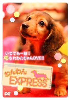 【中古】(非常に良い)わんわんEXPRESS [DVD]