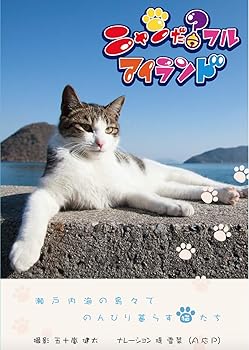 【中古】(非常に良い)ニャンだ？フルアイランド [DVD]｜GoodLifeStore
