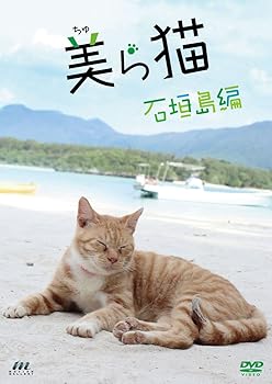 【中古】(非常に良い)美ら猫 石垣島編 [DVD]｜GoodLifeStore