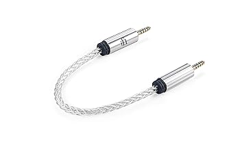 【中古】iFi audio 4.4mm to 4.4mm cable 4.4mmバランスケーブル【国内正規品】｜GoodLifeStore