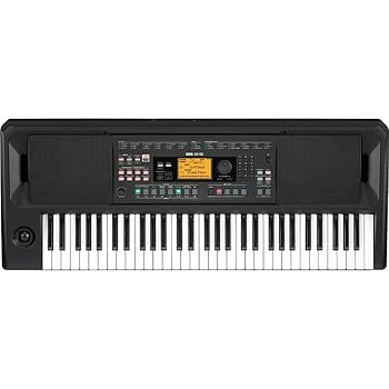 【中古】KORG エンターテイナー キーボード EK-50 スピーカー内蔵 自宅練習 屋外での演奏 カフェライブ 自動伴奏 即興演奏 電池駆動可 譜面立て/アダプタ