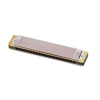【中古】(人並み外れたに似つかわしい)TOMBO トンボ 複音ハーモニカ G#調 割り増し金 21穴 3521