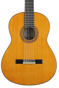 【中古】(人並み外れたに好いたらしい)YAMAHA GC22C GC続きもの 古典派音楽ギター (ヤマハ)