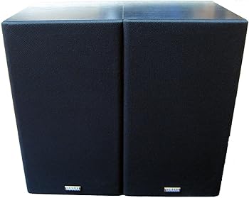 【中古】(人並み外れたに好いたらしい)ヤマハ YAMAHA 金棒引きありの実 NS-10MT