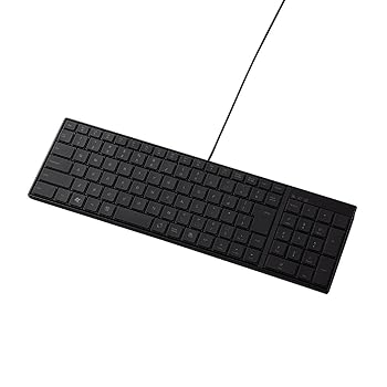 【中古】(非常に良い)2009年モデルELECOM キーボード USB接続 パンタグラフ式 日本語103キー 極薄タイプ PS3対応 ブラック TK-FCP004BK｜GoodLifeStore
