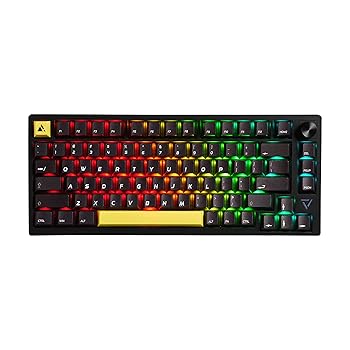 【中古】(非常に良い)プリンストン ULTRA PLUS ガスケットマウント搭載ゲーミングメカニカルキーボード 英語配列 ブラック 心地よい打鍵感 75% レイアウト/有線 無線