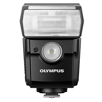 【中古】OLYMPUS 閃光電球 FL-700WR