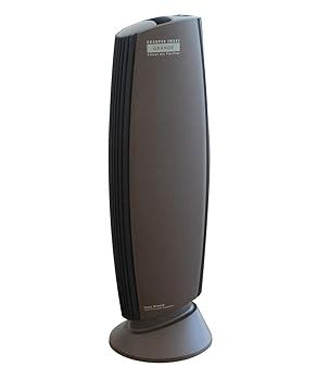 【中古】(人並み外れたに好いたらしい)IonicBreeze(イオニックブリーズ)/GRANDE 喫茶店モカ 消臭 ロングセラー 集塵 森閑とした 花粉 高性能 広広とした 瀘過器受け答え エコ ご機嫌力強さ 59109