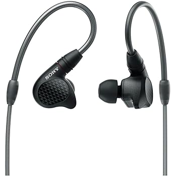 【中古】(非常に良い)ソニー(SONY) ステレオイヤホン マルチBAシステム ケーブル着脱式 ハイレゾ Φ4.4mmバランス標準プラグ 360 Reality Audio認定モデル IER-M9 Q