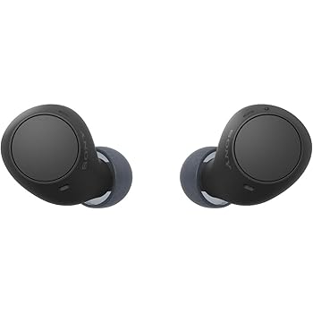 【中古】ソニー(SONY) 完全ワイヤレスイヤホン WF-C510 / 軽量小型4.6g / 高精度通話品質/外音取り込み対応/マルチポイント対応 / IPX4防滴性能 / ブラッ