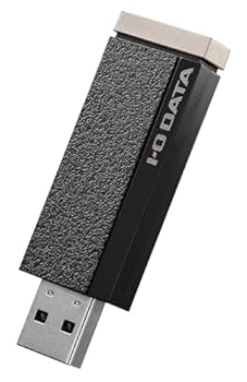 【中古】(非常に良い)AVSSD-RS1 24時間連続録画/4K対応 録画用スティックSSD 1TB|GoodLifeStore