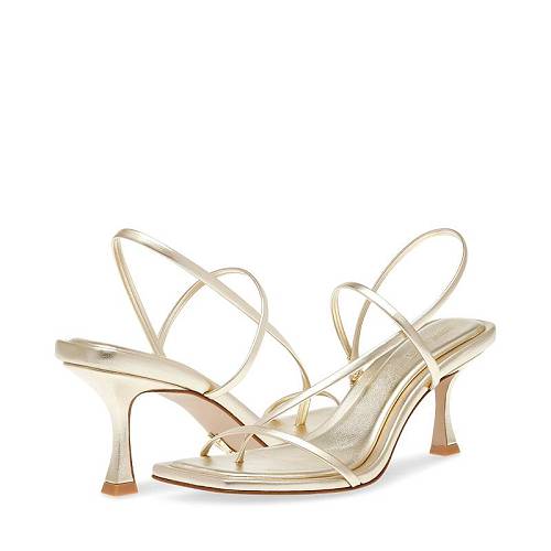 貨物輸送無料 スティーブマデン Steve Madden レディース 成人女性用 シューズ 靴 踵 Locke - Champagne