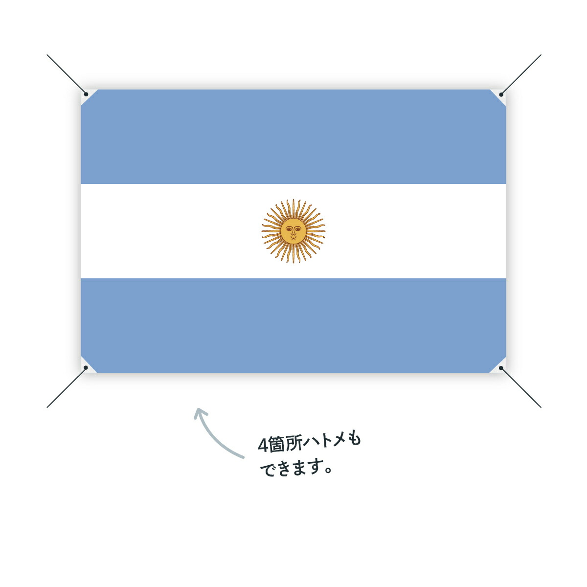 お店に飾ればお手軽異国風演出 アルゼンチン共和国 パーティー イベント用品 国旗 国旗 国旗 W150cm H100cm グッズプロ お店に飾ればお手軽異国風演出 アルゼンチン共和国 パーティー イベント用品 国旗 国旗 国旗 W150cm H100cm グッズプロ