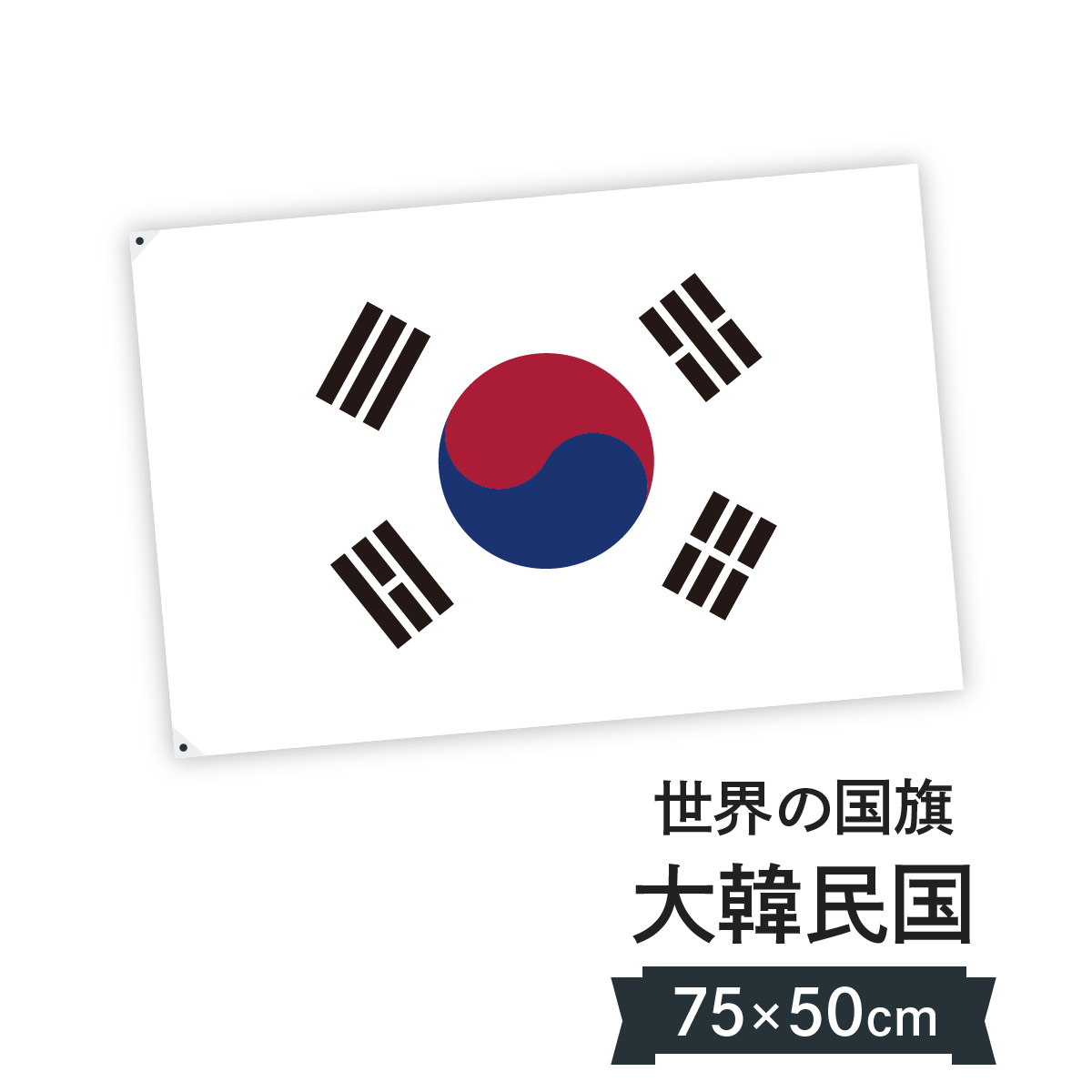 楽天市場 大韓民国 韓国 国旗 W75cm H50cm グッズプロ