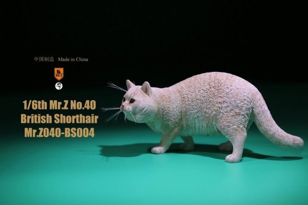 Mr.Z 1/6 ブリティッシュ 遊撃手髪の毛 6種 色合い選べます 毛の荒物 飾りつけ 図形  004