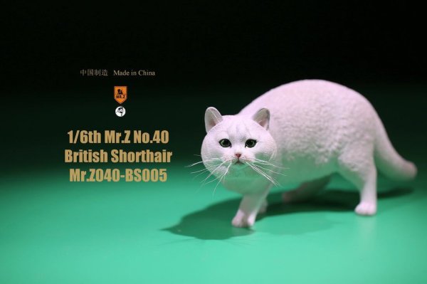 Mr.Z 1/6 ブリティッシュ ショートヘア 6種 カラー選べます 動物 置物 フィギュア 005｜グッズ＆雑貨　店